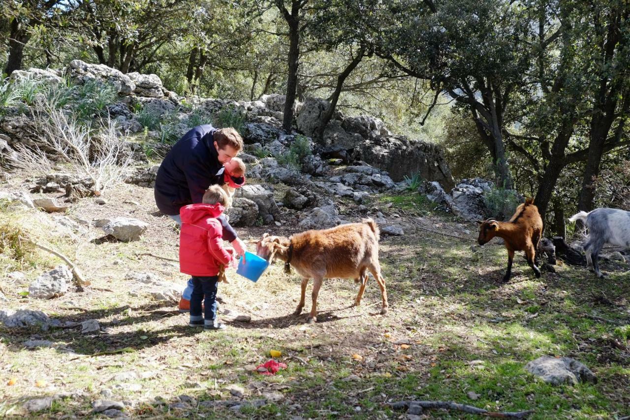 Alloggio per agriturismo Son Alzines Lluc