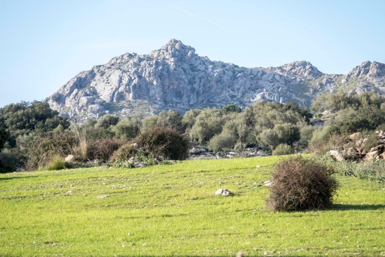 Son Alzines Alloggio per agriturismo Lluc